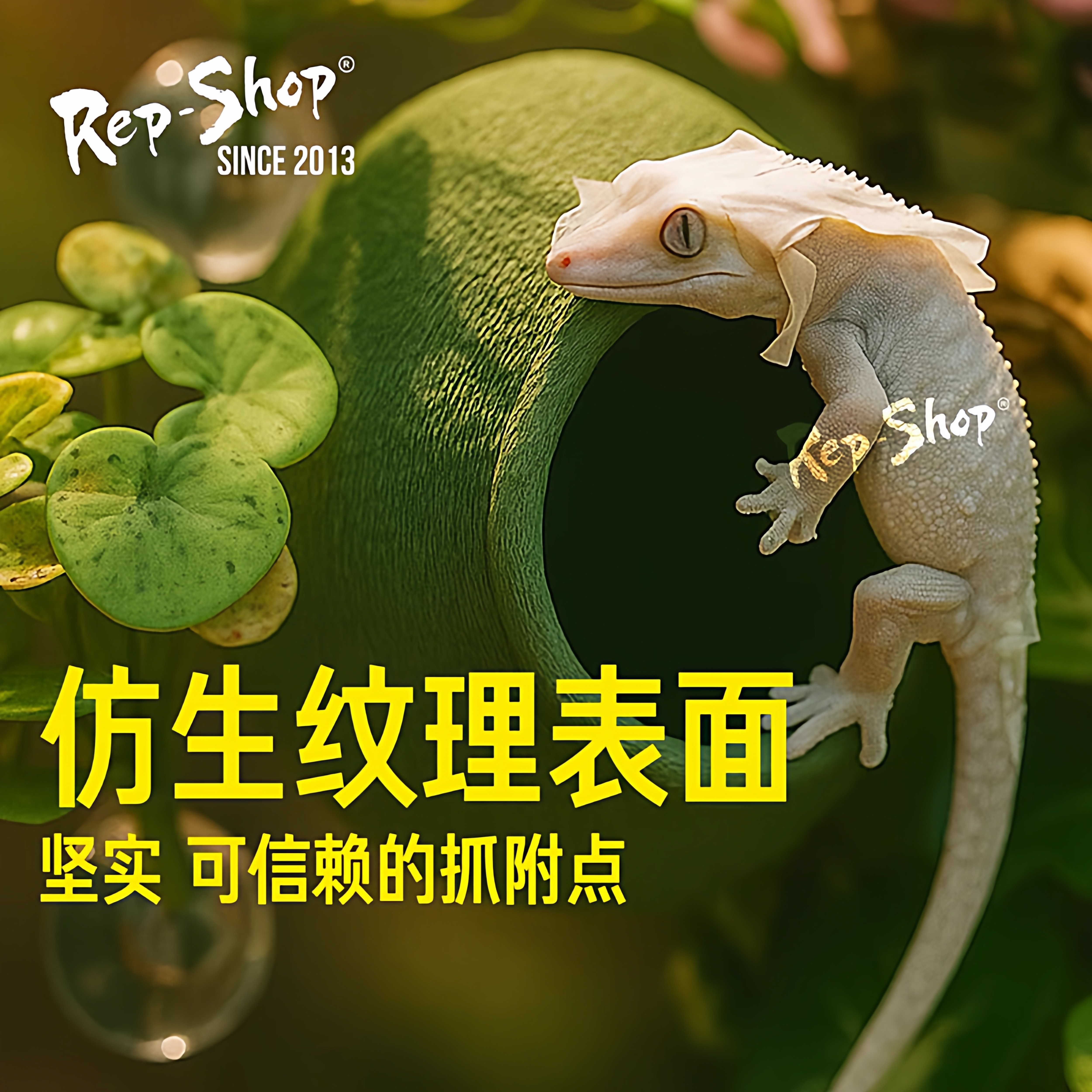 睫角守宫蛋仔躲避屋树栖窝树蛙盖勾亚洞穴攀爬悬挂窝助脱皮躲藏洞,淘宝优惠券,粉丝福利购,淘宝优惠卷