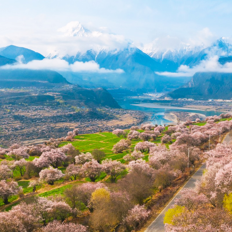 【大九座+0购物】西藏拉萨旅游6天5晚林芝珠峰纳木措羊湖六日游 - 图2