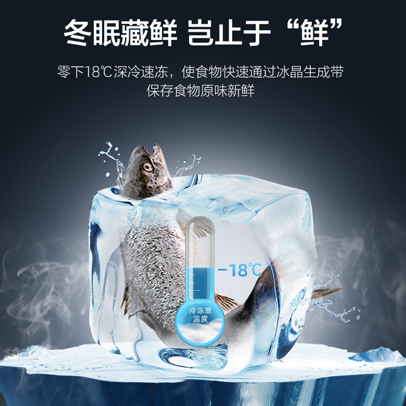 新飞节能家用小型单双门迷你小冰箱 新飞嵘晟厨房冰箱