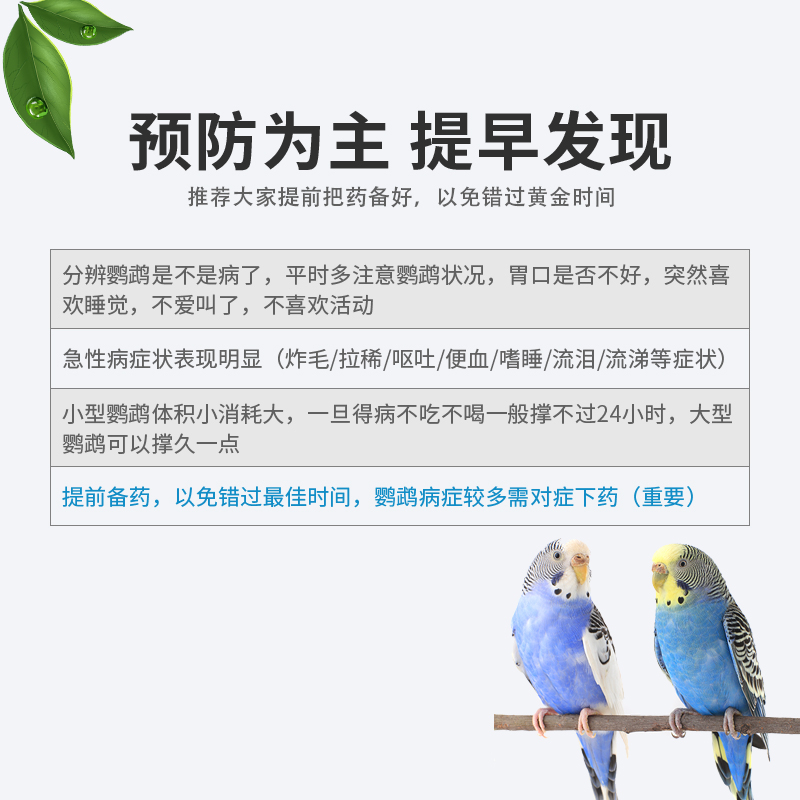 鹦鹉小鸟专用常备感冒玄凤拉稀便驱虫嗉囊炎非药电解质益生菌肝精-图3