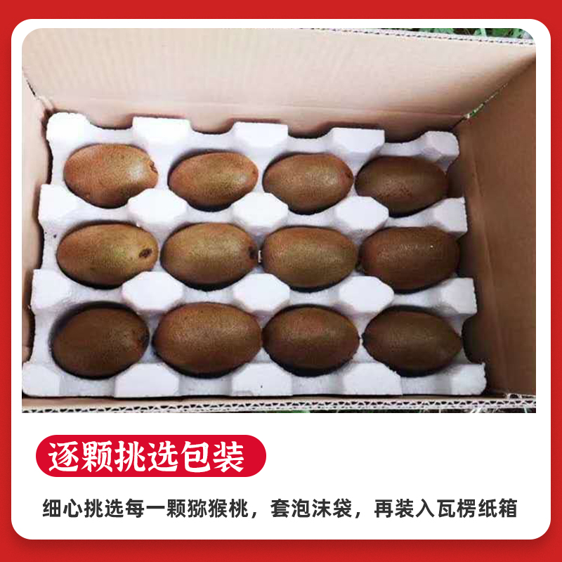 堡鲜生旗舰店陕西周至翠香猕猴桃纯甜/绿心奇异果应季水果新鲜当季整箱5斤礼盒2