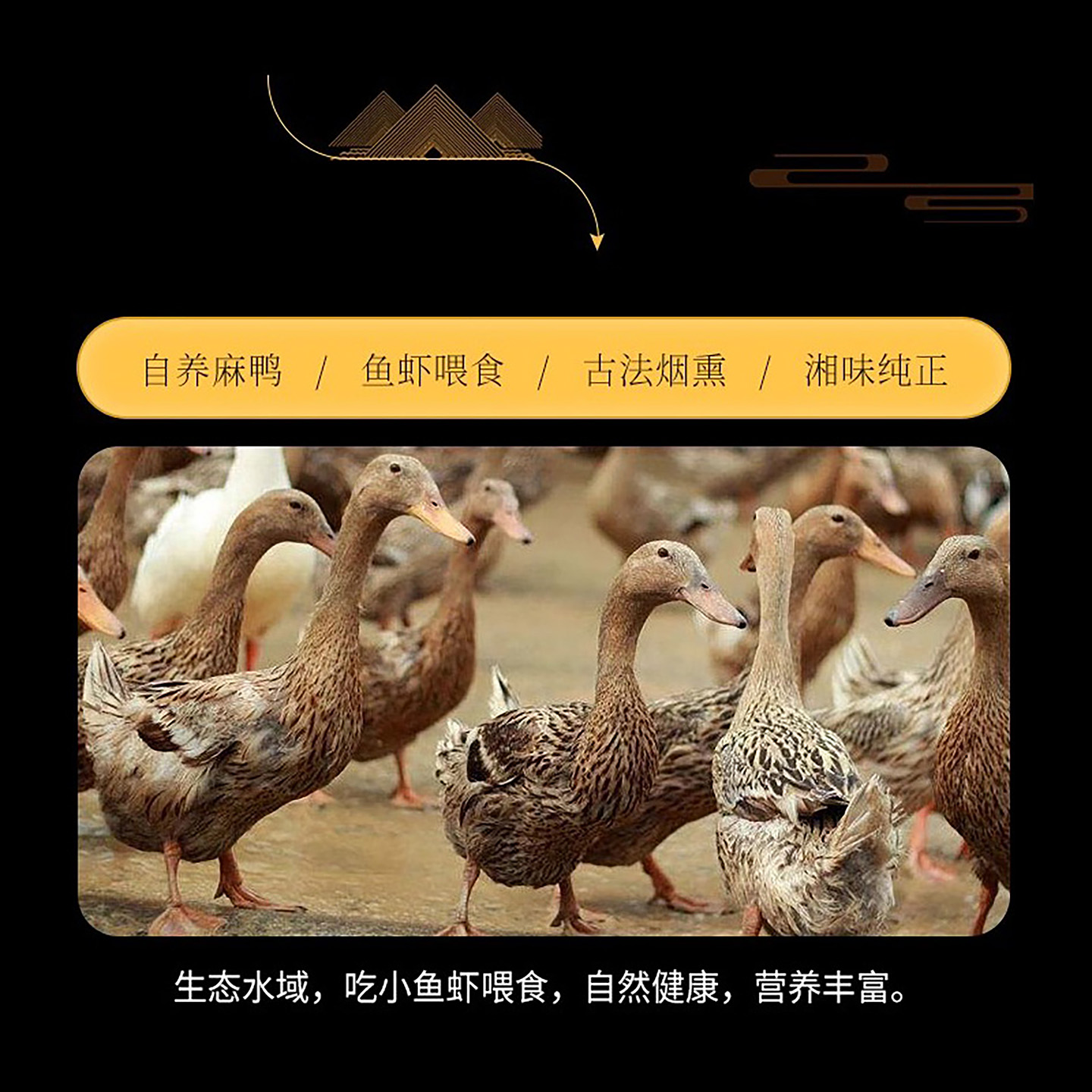 腊鸭腿湖南特产柴火烟熏农家传统手工腌制风味咸鸭腿肉腊肉咸肉 - 图1