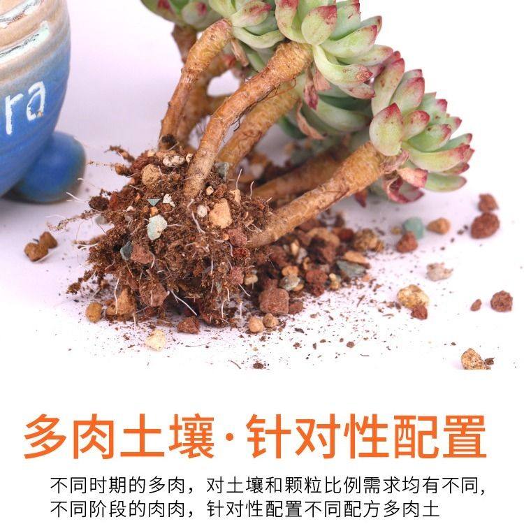 多肉土专用颗粒植物进口营养土泥炭叶插种植肉肉纯颗粒花土铺面石,淘宝优惠券,粉丝福利购,淘宝优惠卷