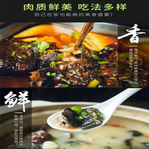 3-10斤娃娃鱼鲜活食用娃娃鱼水产海鲜滋补食材活鱼 - 图1