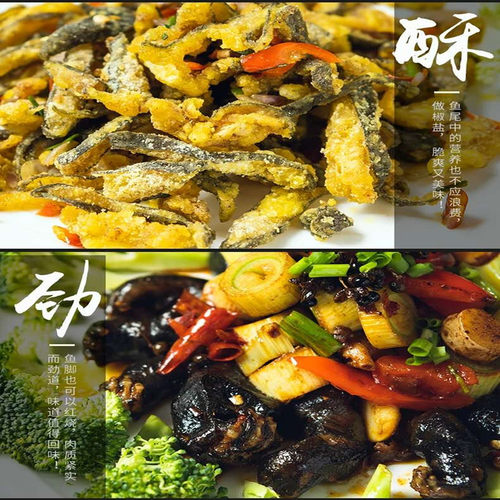 3-10斤娃娃鱼鲜活食用娃娃鱼水产海鲜滋补食材活鱼 - 图2