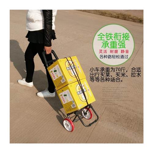 Vegetable shopping cart folding shopping bag basket trolley - 图3