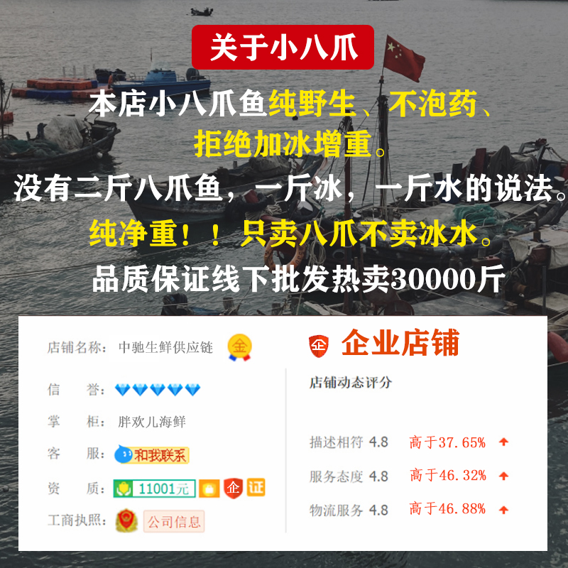 小八爪鱼网红爆头海鲜水产鲜活冷冻迷你小章鱼巴蛸刺身2斤包邮 中驰生鲜供应链平台 淘优券