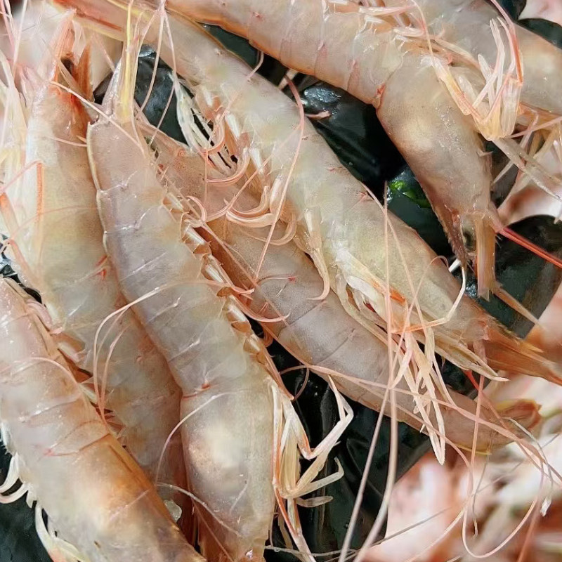 大连纯野生小海虾灯笼红新鲜速冻鹰爪虾大连湾虾原浆