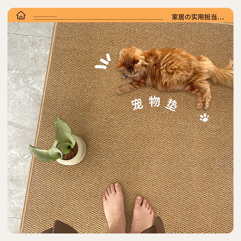 Entrance door floor mat, stain-resistant, no-wash living room carpet