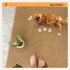 Entrance door floor mat, stain-resistant, no-wash living room carpet