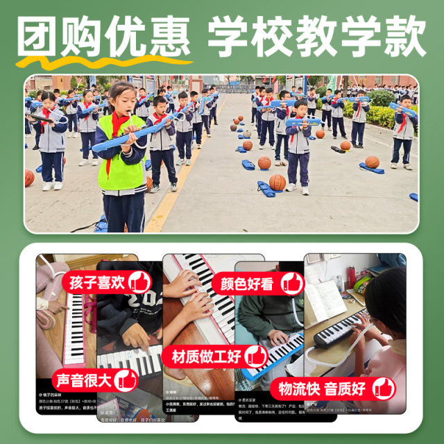 Lappson mouth organ 32/37 key for primary school students