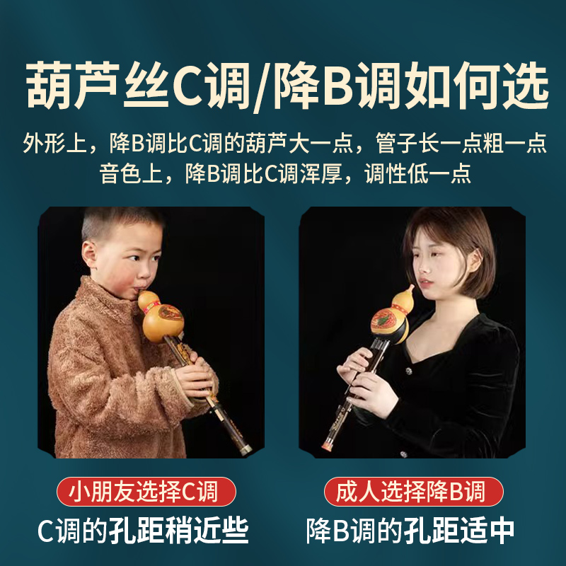 葫芦丝乐器小学生专用C调降B调儿童成人初学专业演奏七孔胡葫芦丝