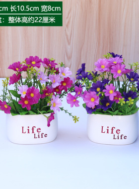 小雏菊花迷你绿植盆栽装饰品