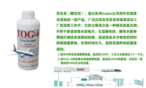 花生命 以色列 植物消毒剂TOG-6（醒花、洗花瓶消毒专用） 1kg\瓶 - 图2