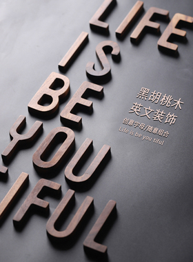 北欧风黑胡桃木字母ins英文DIY