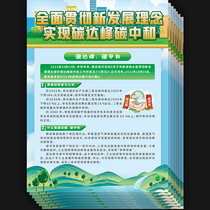 Comprehensively implement the new development concept to achieve carbon peak and carbon neutrality leaflet leaflet color page DM single AQ273