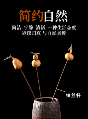 天然葫芦干插花家居摆件