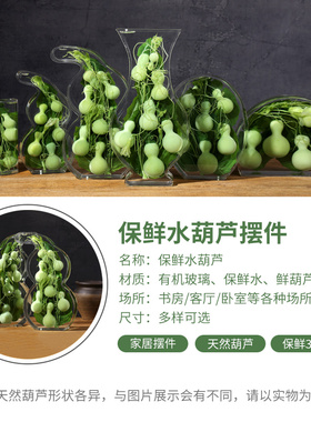 天然保鲜水葫芦摆件客