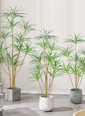 假绿植千年木高端轻奢室内装饰摆件防真绿色植物大型落地盆栽花树