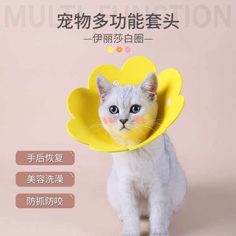 新款直销跨境宠物用品 伊丽莎白圈 狗狗项圈防水猫头套 软宠物脖,淘宝优惠券,粉丝福利购,淘宝优惠卷