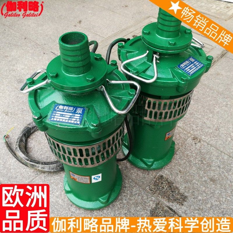 充油式小型潜水泵 pqy油浸潜水泵 qy-15潜水泵 闽,淘宝优惠券,粉丝福利购,淘宝优惠卷