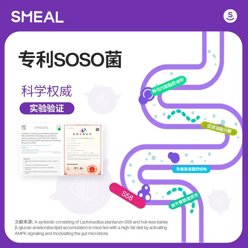 smeal莓莓跳跳即食成年成人益生菌 smeal益生菌