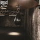 Boxing reaction speed training equipment EVERLAST