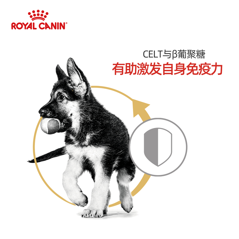 皇家狗粮德牧幼犬粮AGS30大型犬牧犬成犬狗狗德国牧羊犬专用犬粮