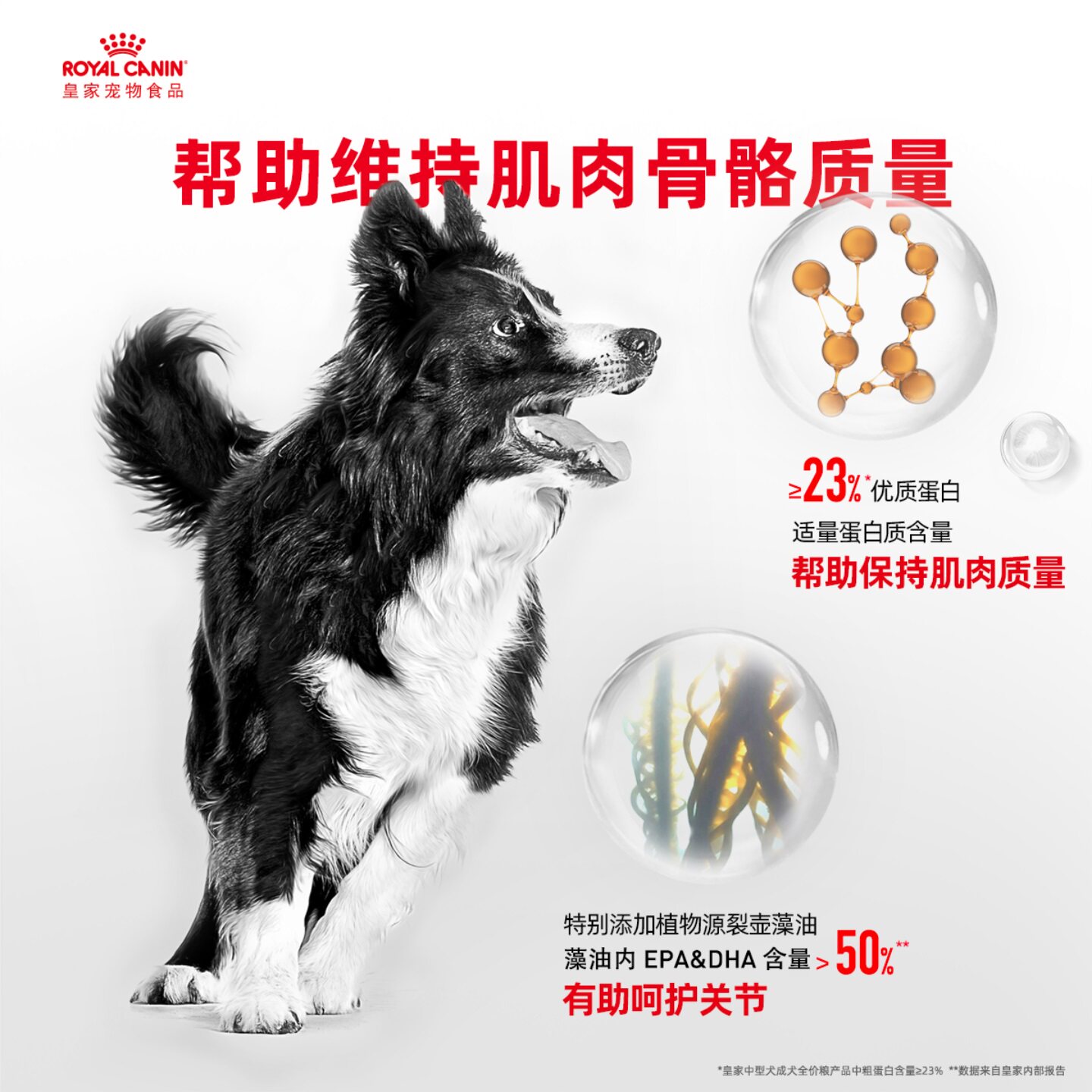 皇家狗粮中型成犬粮M25/4/15KG金毛罗威纳萨摩耶边牧柯基通用犬粮