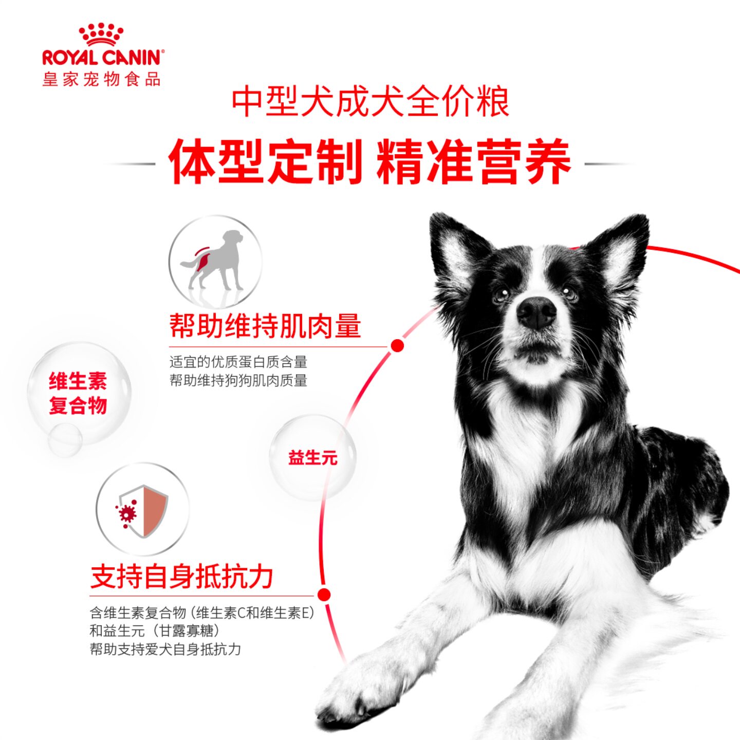皇家狗粮中型成犬粮M25/4/15KG金毛罗威纳萨摩耶边牧柯基通用犬粮