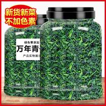 Ningbo Specials Young Vegetable Dry Dewater Vegetables Dried Green Vegetables Dried Vegetables Dried Vegetables Dried Goods Ready-to-eat Cool Mixed Blister Noodles