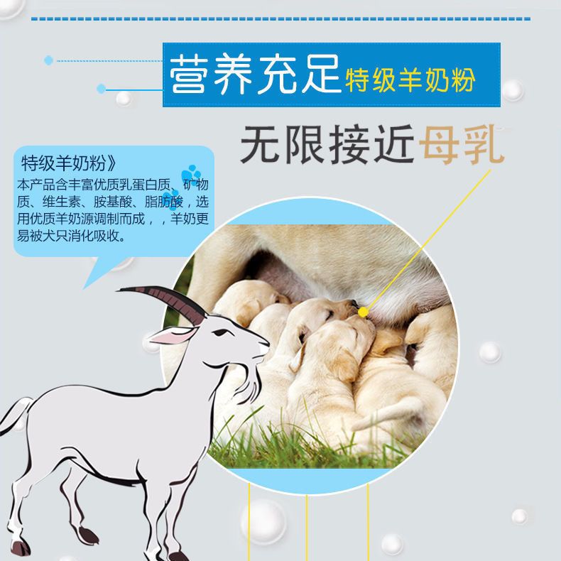 珍宠宠物益生菌羊奶粉高钙400g营养肠胃增强机体营养补充宠物适用