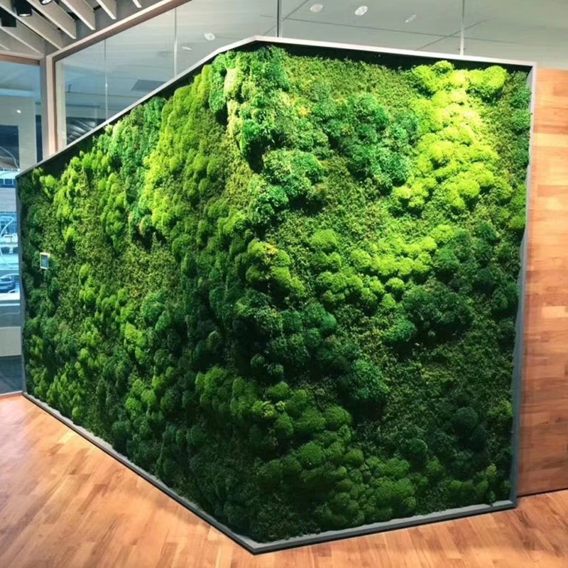 微风细语 苔藓绿植墙公司形象墙LOGO墙干花植物墙面装饰永生苔藓