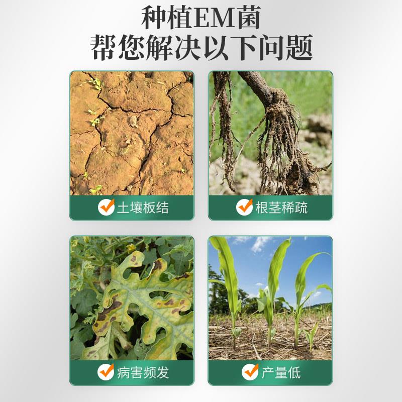 EM菌原液益生菌原液养殖水产种植原露菌液农用禽用兽用专用发酵剂 - 图0