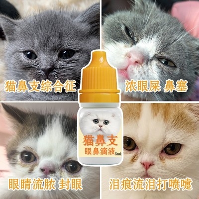 猫鼻支眼屎多流脓打喷嚏流青黄鼻涕猫咪滴眼水眼睑红猫流泪去泪痕 - 图0