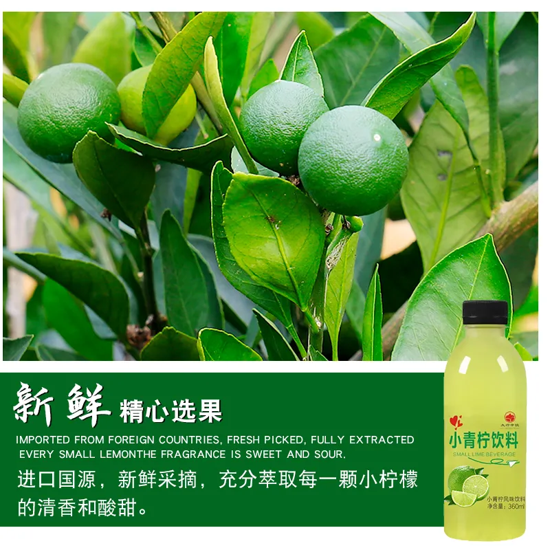 小360ml*24瓶同款维c果汁青柠汁 聪海食品浓缩果蔬汁