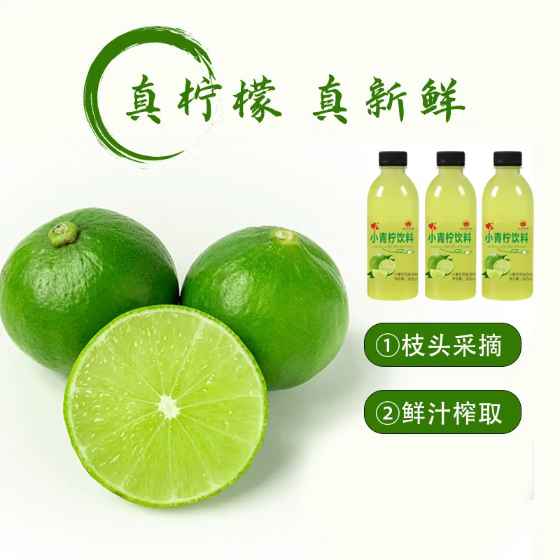 小360ml*24瓶同款维c果汁青柠汁 聪海食品浓缩果蔬汁