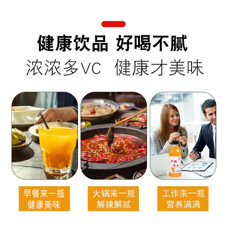 整箱批发正宗沙棘汁360ml/小瓶装网红酸甜VC果汁果味饮料清仓特价 - 图2