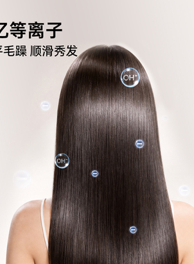 品仕乐吹风机家用负离子护发立式