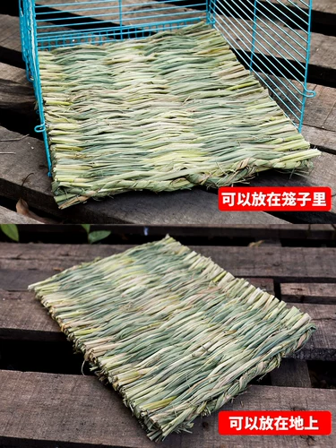 Кролик и кролик ставят голландские свинины Тоторо Голубь Голубь Голубь Голубь Клетка Подушка для кролика подушка подушка подушка