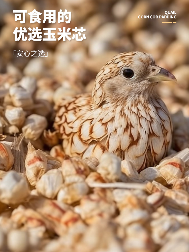 芦丁鸡垫料发酵床宠物除臭核桃砂玉米芯垫料卢丁鸡专用核桃沙无尘-图1