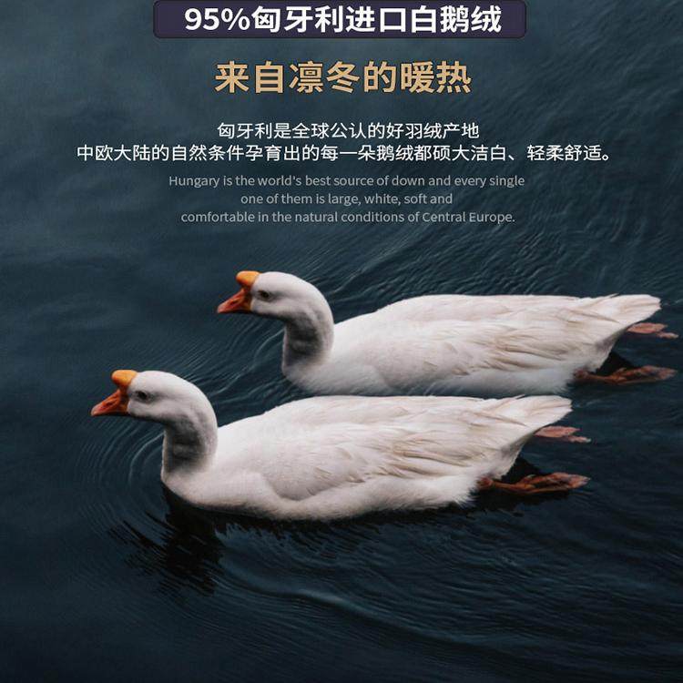 匈牙利正品100%羽绒被95白鹅绒五星级酒店被子被芯春秋被保暧冬被,淘宝优惠券,粉丝福利购,淘宝优惠卷