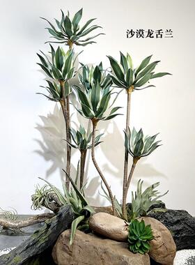 模拟波叶金边龙舌兰稻草人沙漠绿色植物盆栽庭院阳台热带风格景观