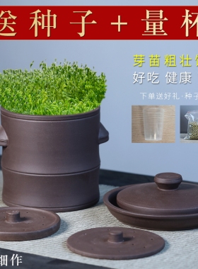 紫砂豆芽罐紫砂豆芽罐豆芽机