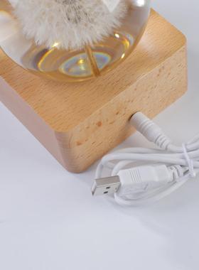 新款直销蒲公英水晶球小夜灯遥控台灯八音盒中秋七夕节礼物创意植