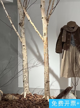 秋冬季女服装店橱窗装饰白桦树杆干树枝侘寂风梧桐枯叶松树皮造景