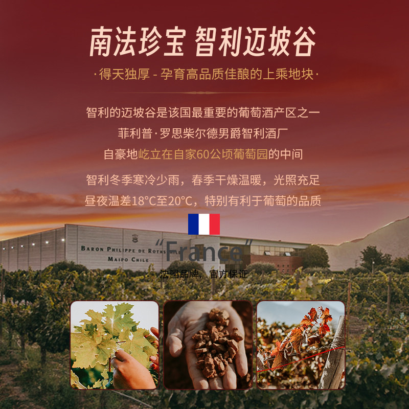 【自营】智利原瓶进口黑皮诺干红葡萄酒罗斯柴尔德红酒礼盒装送礼,淘宝优惠券,粉丝福利购,淘宝优惠卷
