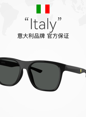 【自营】【Ferrari】法拉利休闲时尚男款新潮复古太阳眼镜0FZ6013