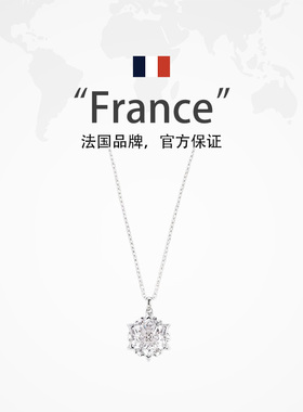 leqiyuan高级感镶嵌锆石锁骨链女