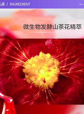 【自营】Shiseido/资生堂红腰子精华液修护保湿面部精华乳液
